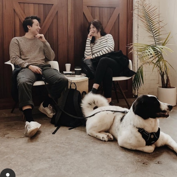 Meet your Posher, Tish - Picture 5 of 8